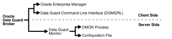 Oracle Data Guard Broker Components